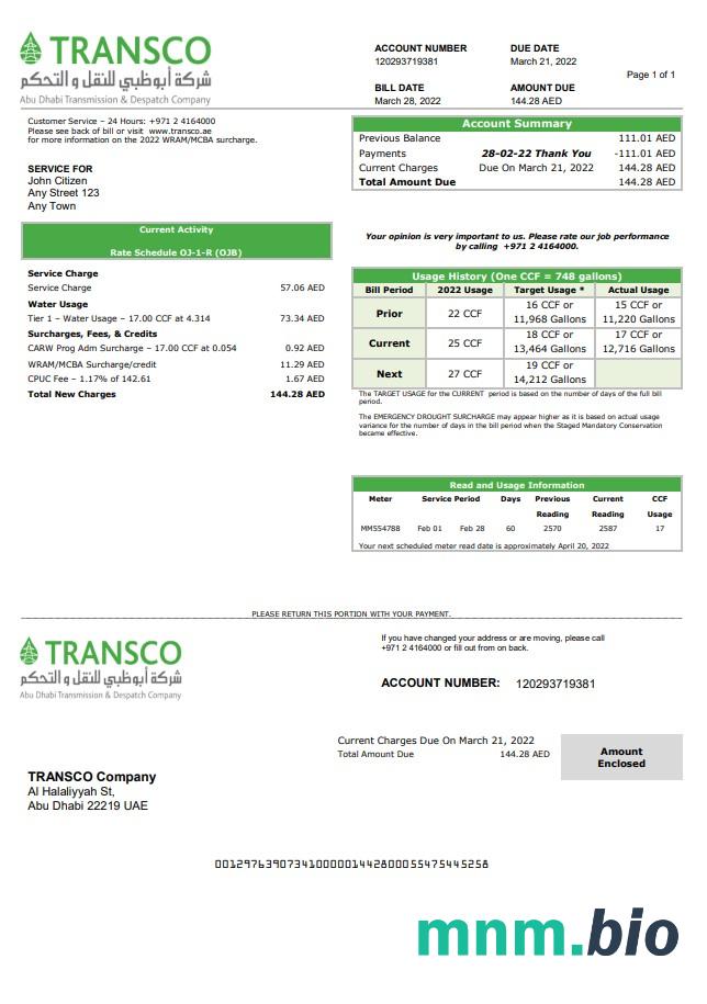 UAE Abu Dhabi Transmission & Dispatch Firma (TRANSCO) szablon rachunku za media w formacie Word i PDF